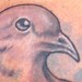 Morning dove and flower Dad tattoo Tattoo Design Thumbnail